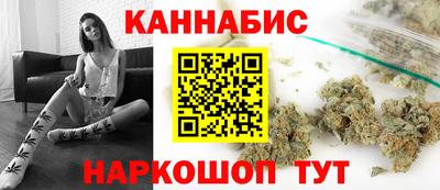 крисы Михайловск