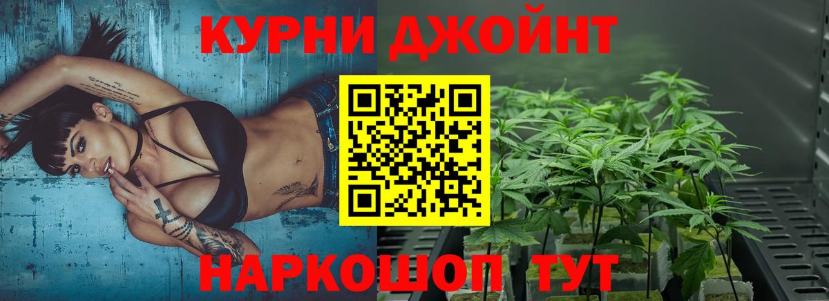 Вольск  Конопля ГИДРОПОН  Вход с VPN  Канабис семена  Каннабис MAZAR  Марихуана марихуана 